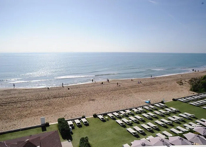 Tropical Beach Boutique Hotel- Playa Grande